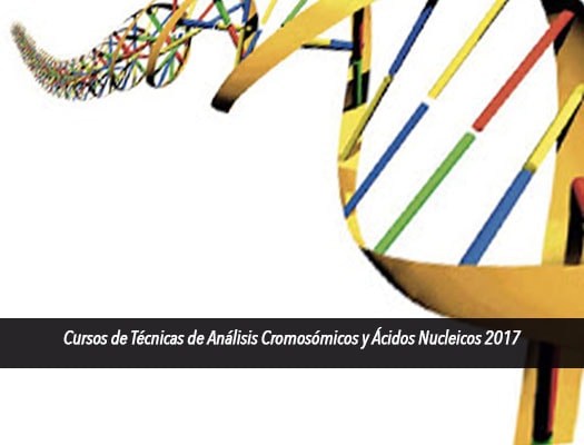 Cursos de Técnicas de Análisis Cromosómicos y Ácidos Nucleicos 2022